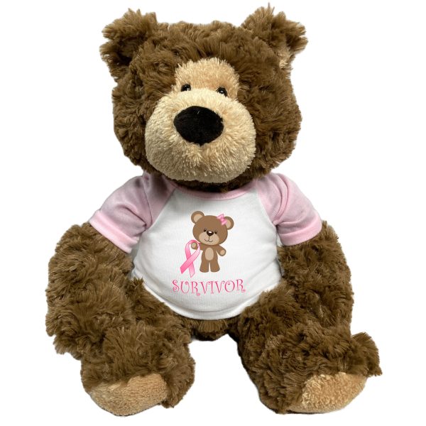 Breast Cancer Support Teddy Bear - Personalized 14  Bear Hugs, Survivor or Believe Design For Sale - Image 2