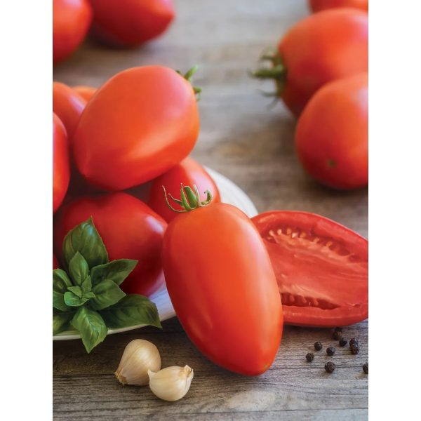 Tomato, Gladiator Hybrid Seed Pack 51662 For Cheap