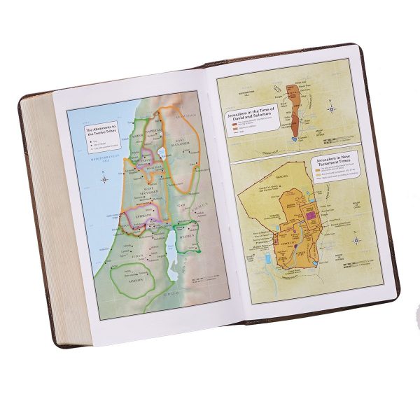 Brown Two-Tone Giant Print Bible KJV038 Online Hot Sale - Image 4