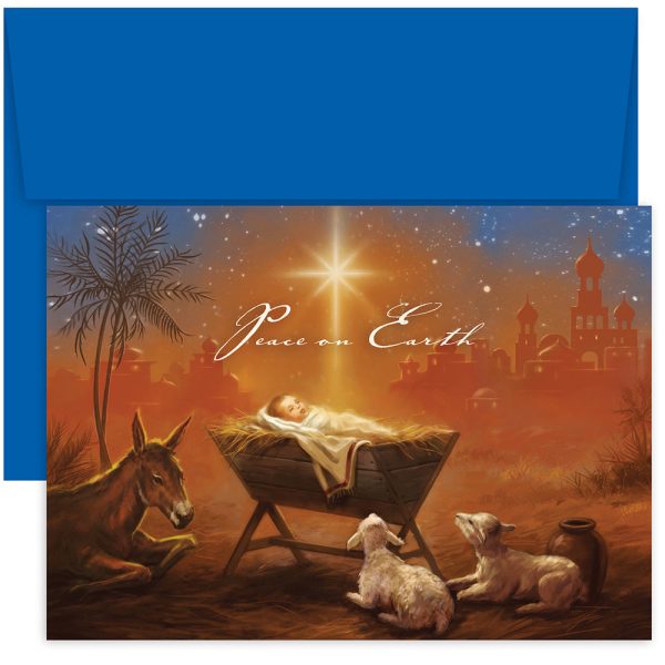 Baby Jesus with Animals Christmas Boxed Cards 911300 Fashion