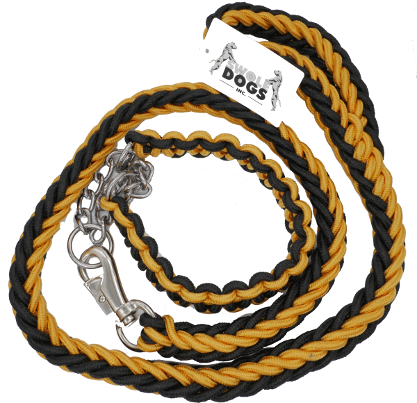 GOLD & BLACK SHOWTIME COLLAR AND LEASH SET Supply